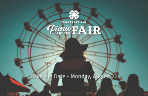 Picnic at the Fair Image