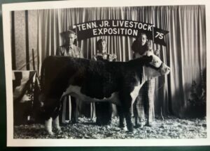 Carol Coley McDonald is a lifelong 4-H’er and serves the Tennessee 4-H Foundation on the Board of Directors.