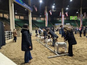 Williamson County 4-H members
