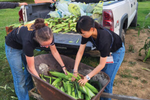 International Exchange Program