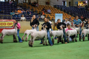 Farm Credit Mid-America at State Sheep Expo