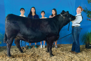 International Exchange Program