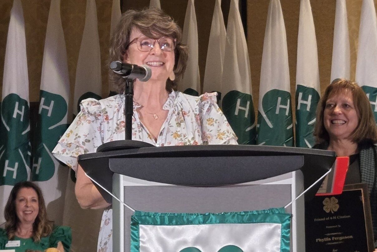 Phyllis Ferguson