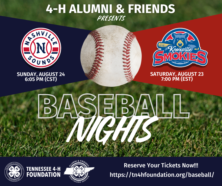 Alumni Baseball Image