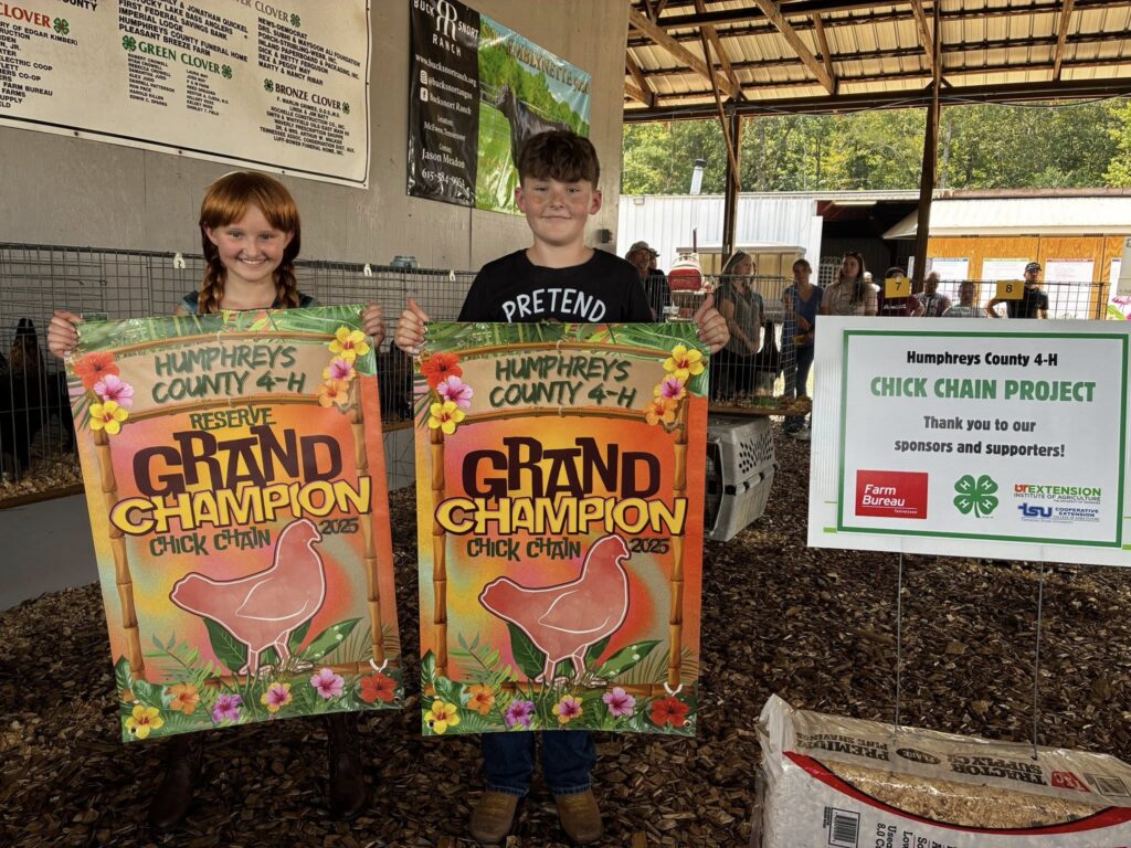 Humphreys County Chick Chain