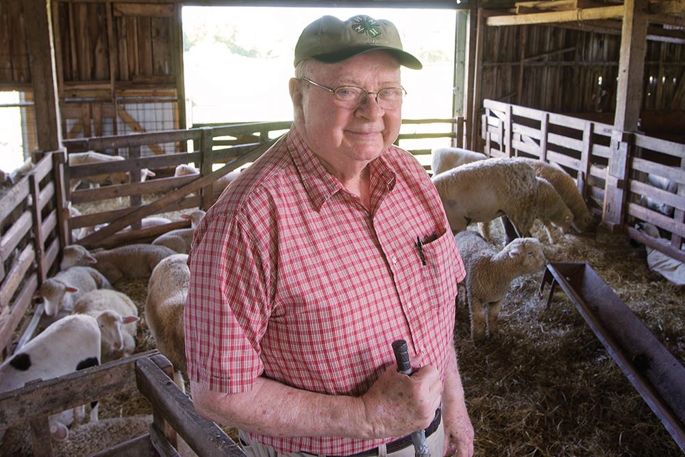 Ben Powell on his sheep farm in Watertown