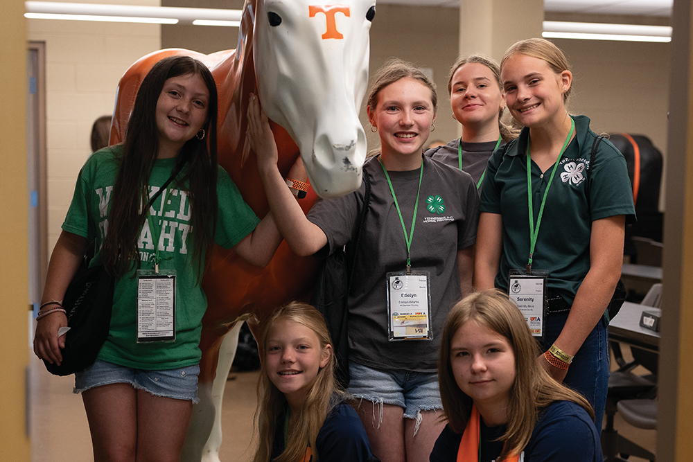 Members of the Horse project group learned more about their projects during Academic Conference.