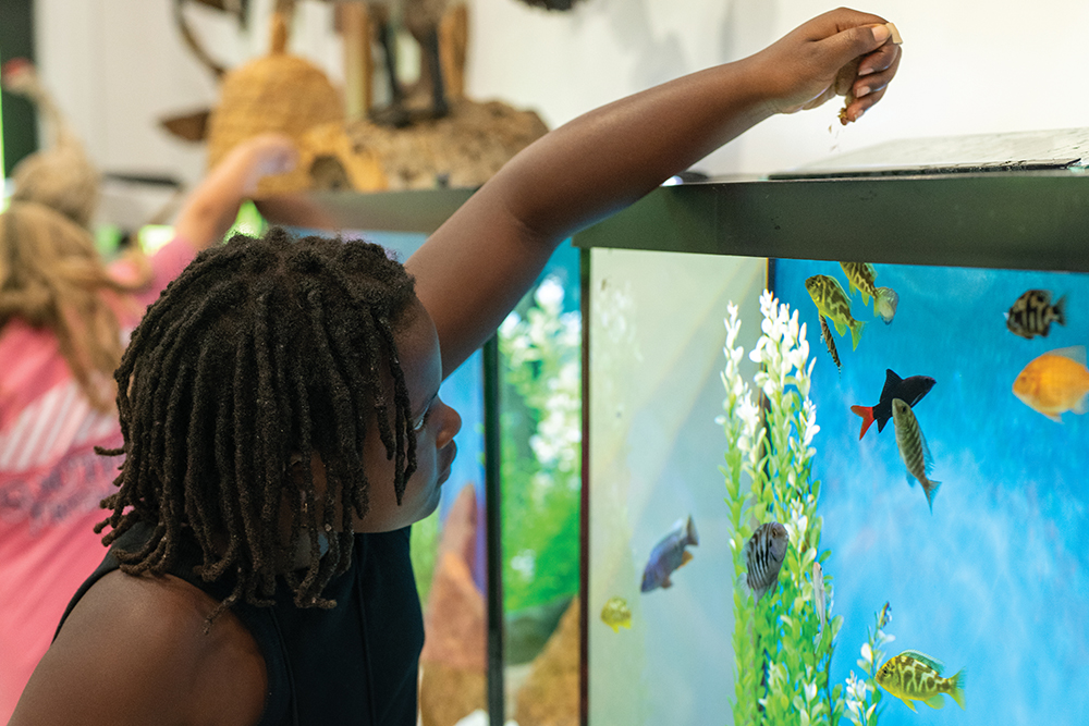 4-H Camp in Greeneville