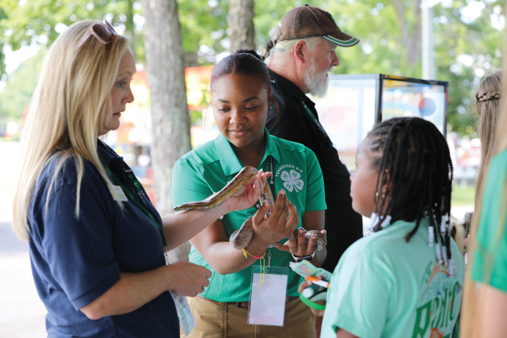 During the Picnic at the Fair, attendees could participate in some 4-H camp fun.
