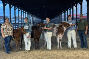 AJ and Valerie Teal and Family; The Teal Family showing dairy cattle at the North American International Livestock Expo in Louisville.