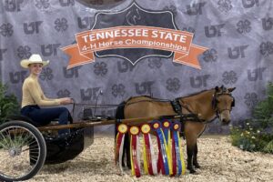 Ruth Hall was named an Animal Science All Star the first year that horses were added to the program.