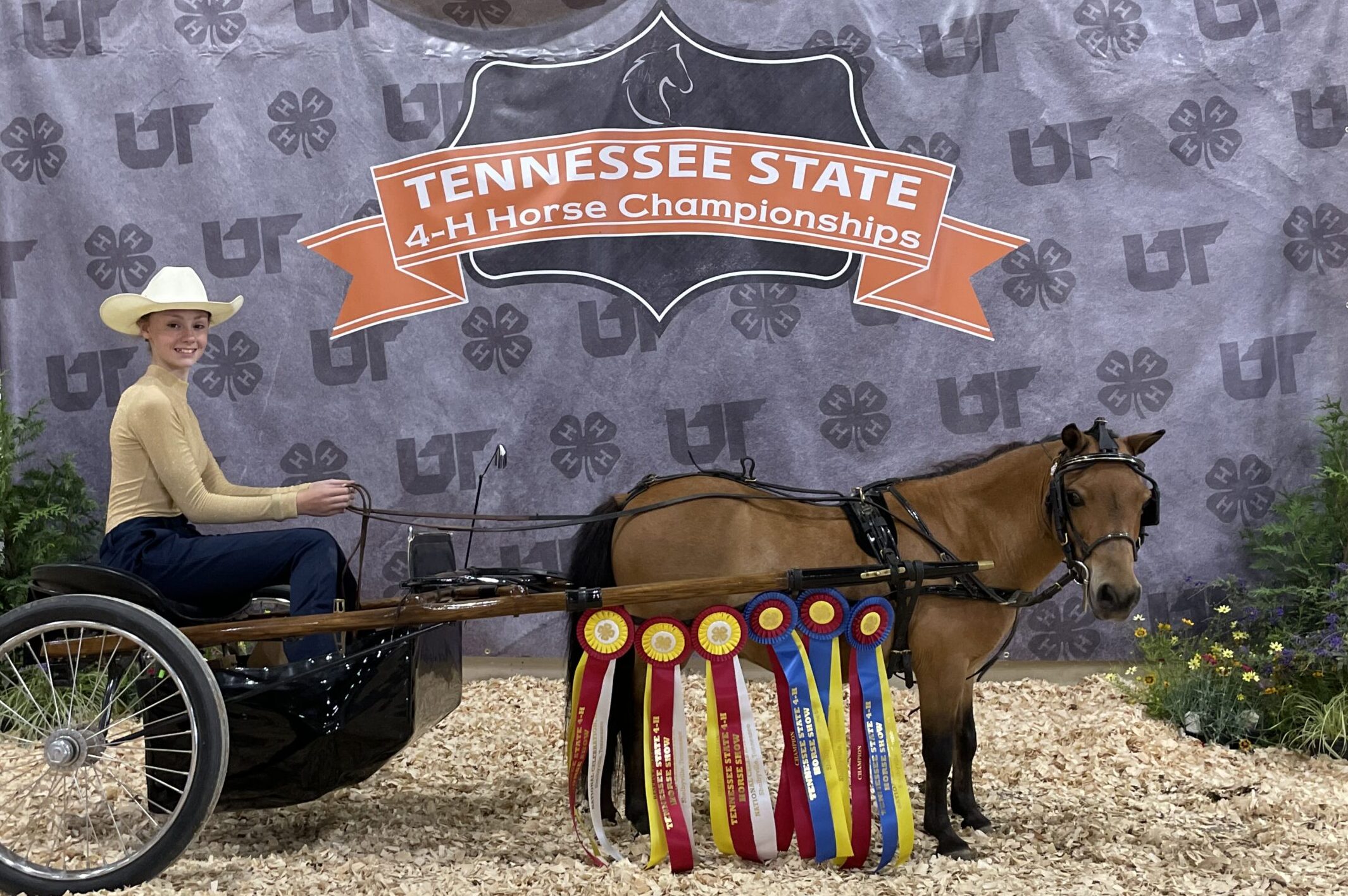 Ruth Hall was named an Animal Science All Star the first year that horses were added to the program.