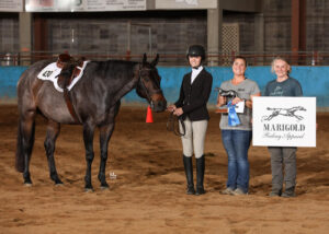 Ruth Hall won the Junior High All Around High Point for the state in the horse program.