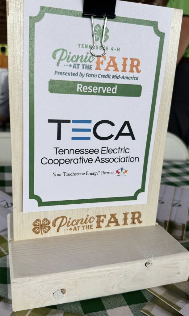 TECA supports Picnic at the Fair
