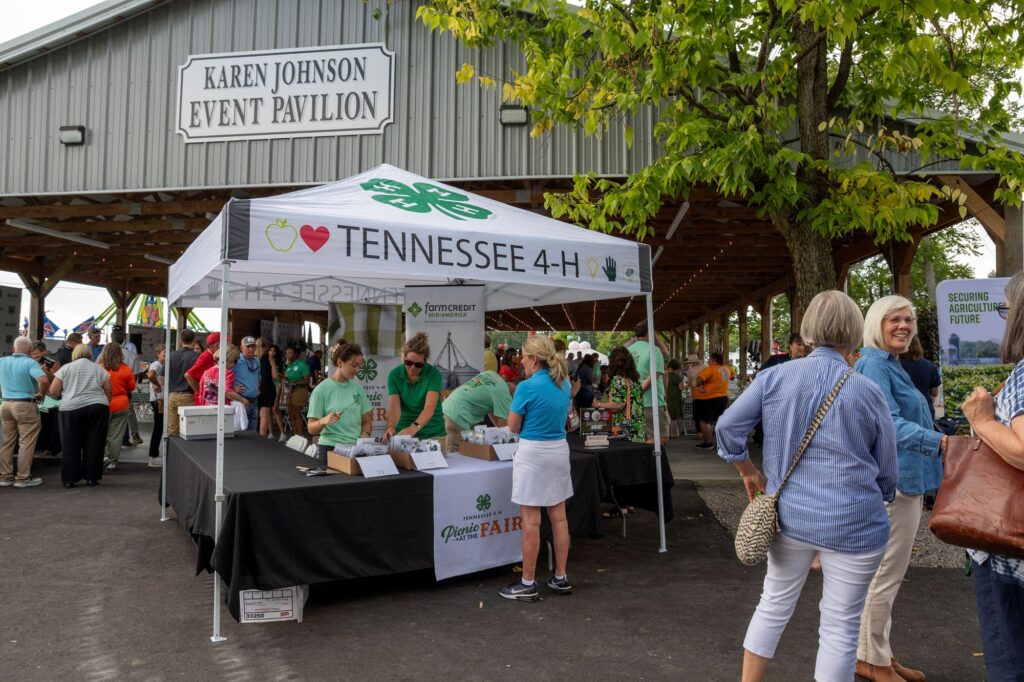 Picnic at the Fair