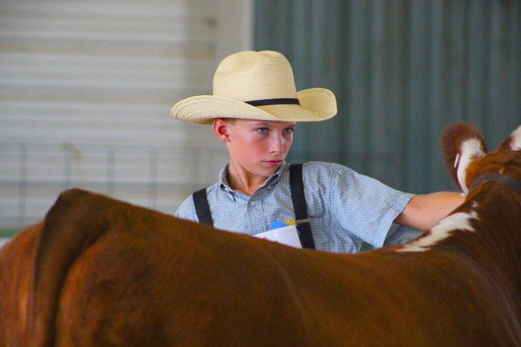 Wilson County - Tennessee State Fair beef show