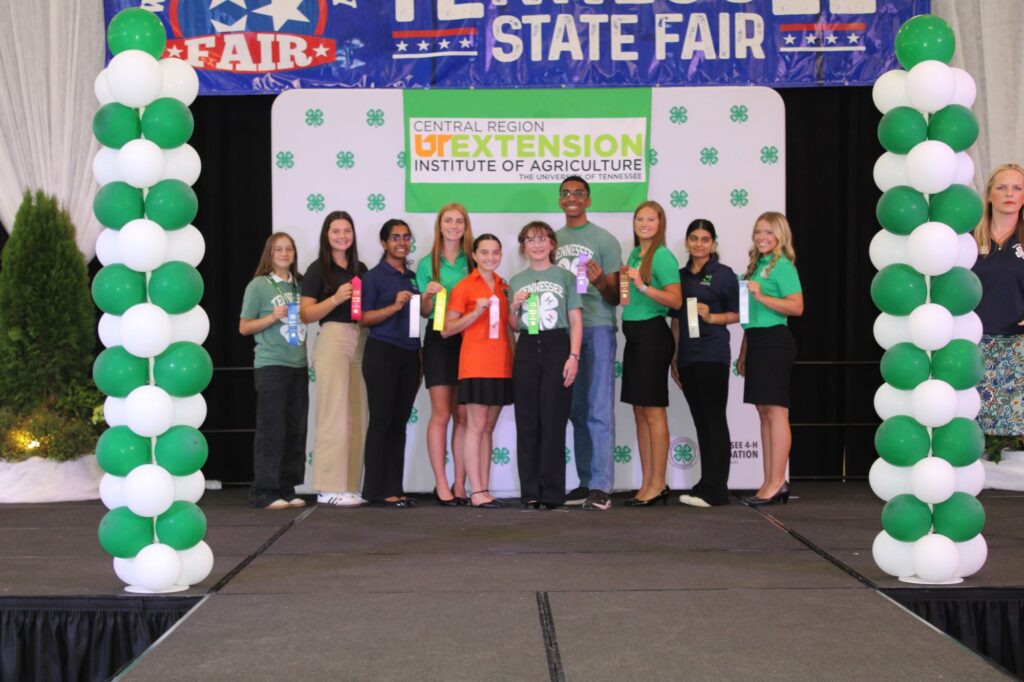 4-H Fashion Review